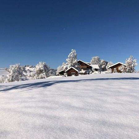 Ferienwohnung Aigisblick Mit Pool Und Sauna, Direkt Am Skihang Missen-Wilhams Buitenkant foto