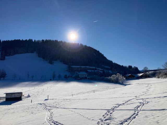 Ferienwohnung Aigisblick Mit Pool Und Sauna, Direkt Am Skihang Missen-Wilhams Buitenkant foto